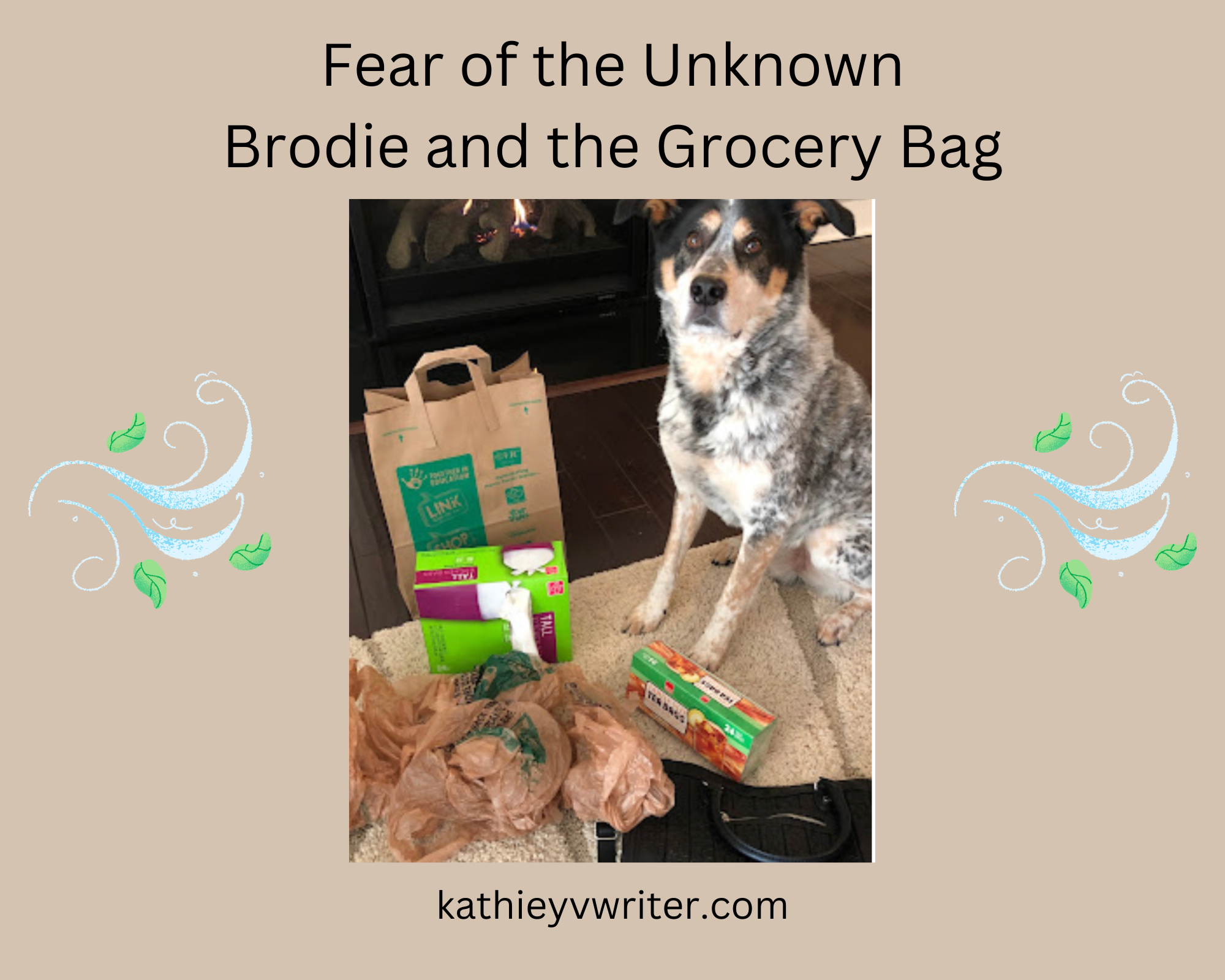 Monday Morning Motivation-Faith in the Face of Fear, Brodie and the Grocery Bag